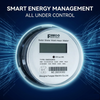 EM12200RS two Phase Three wire ANSI 12S smart energy meter